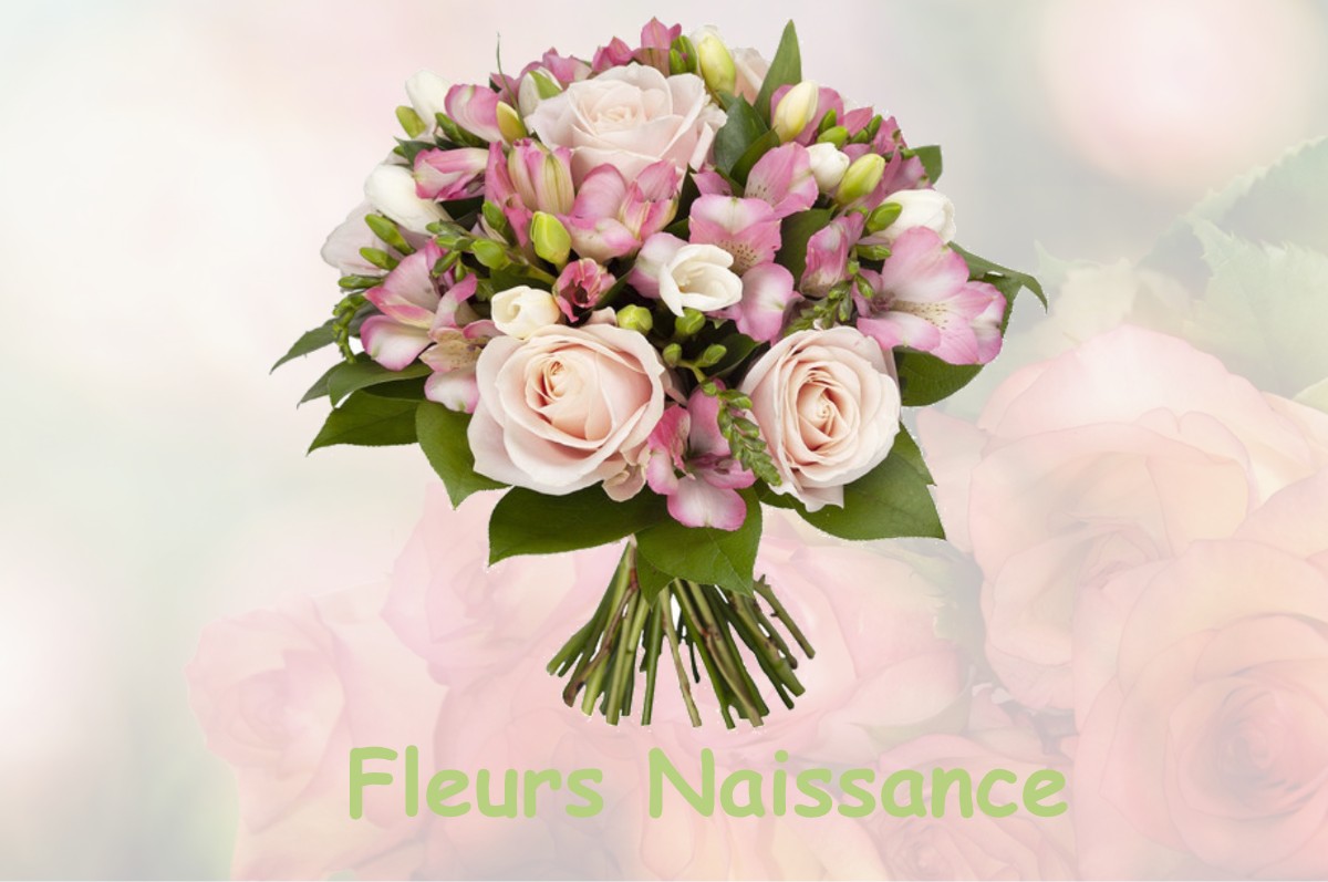 fleurs naissance LEMUY