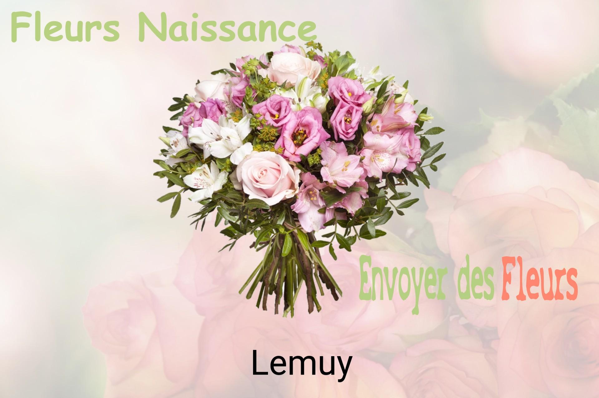 Bouquet de fleurs de naissance livré à Lemuy